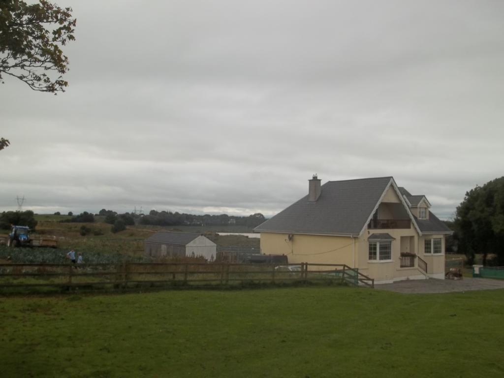 The Curragh Country House Accommodation 纽布里奇 外观 照片